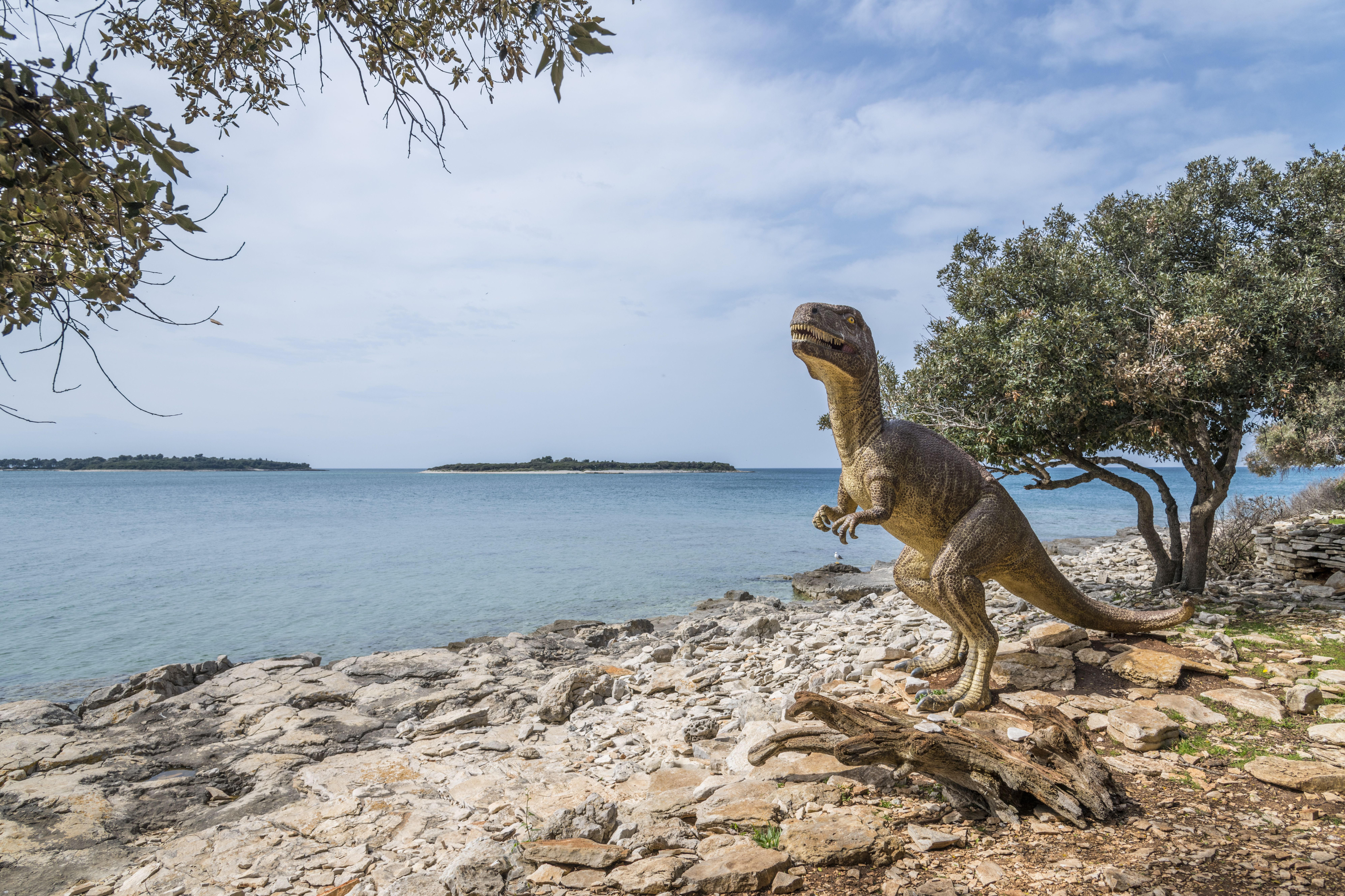 Fosili dinosaura i njihova nalazišta proglašena zaštićenim dijelom prirode PRVI NALAZ NA PODRUČJU HRVATSKE POTJEČE S BRIJUNA